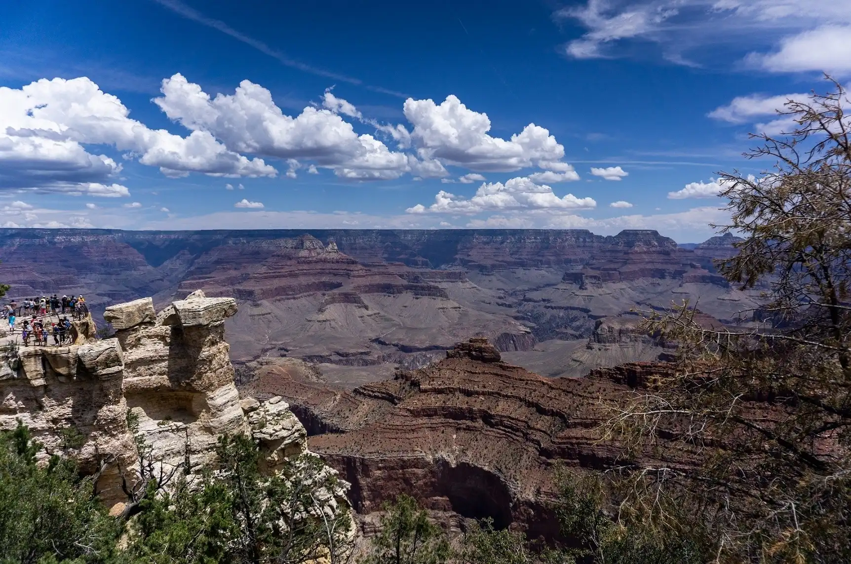 A deep-focus shot from a canyon overlook featuring rugged stone formations and green brush in the foreground, looking out over the vast, expansive depths and layered red rock walls of the Grand Canyon.