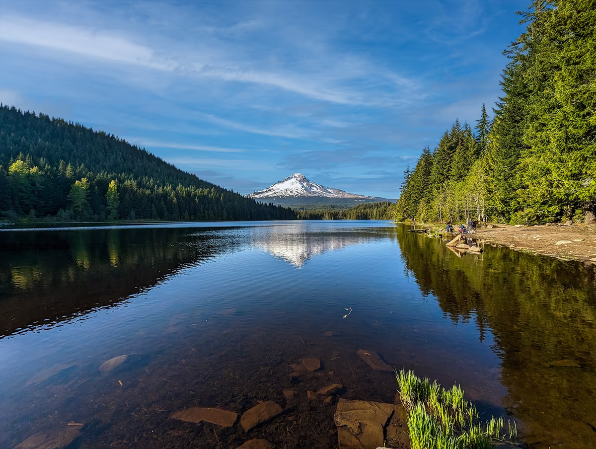 A serene lake scene framed by dense pine forests on both sides, with the snow-dusted peak of Mount Hood centered in the background and mirrored clearly in the still water.