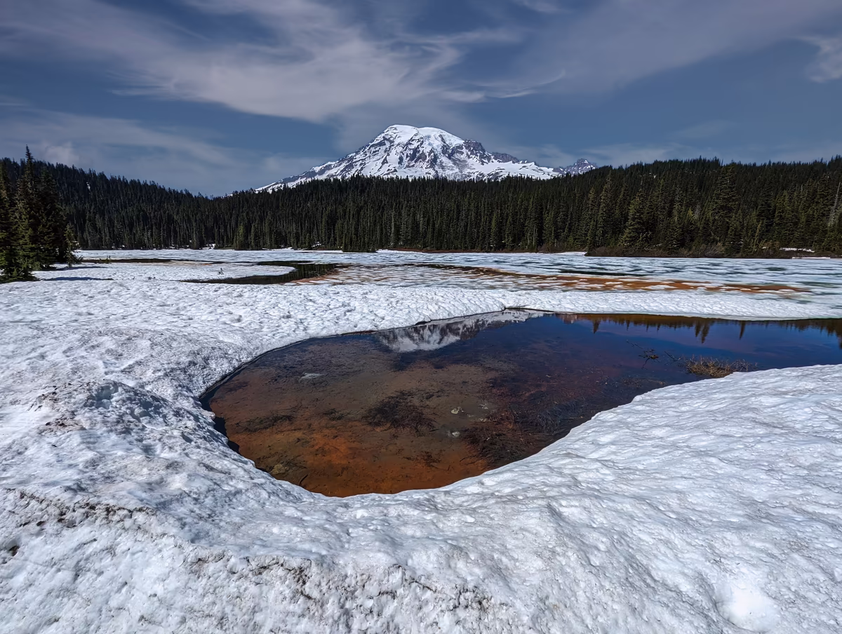 A high-alpine winter scene with patches of snow and a small puddle of water in the foreground, bordered by a dense evergreen forest that leads to the majestic, snow-covered peak of Mount Rainier.