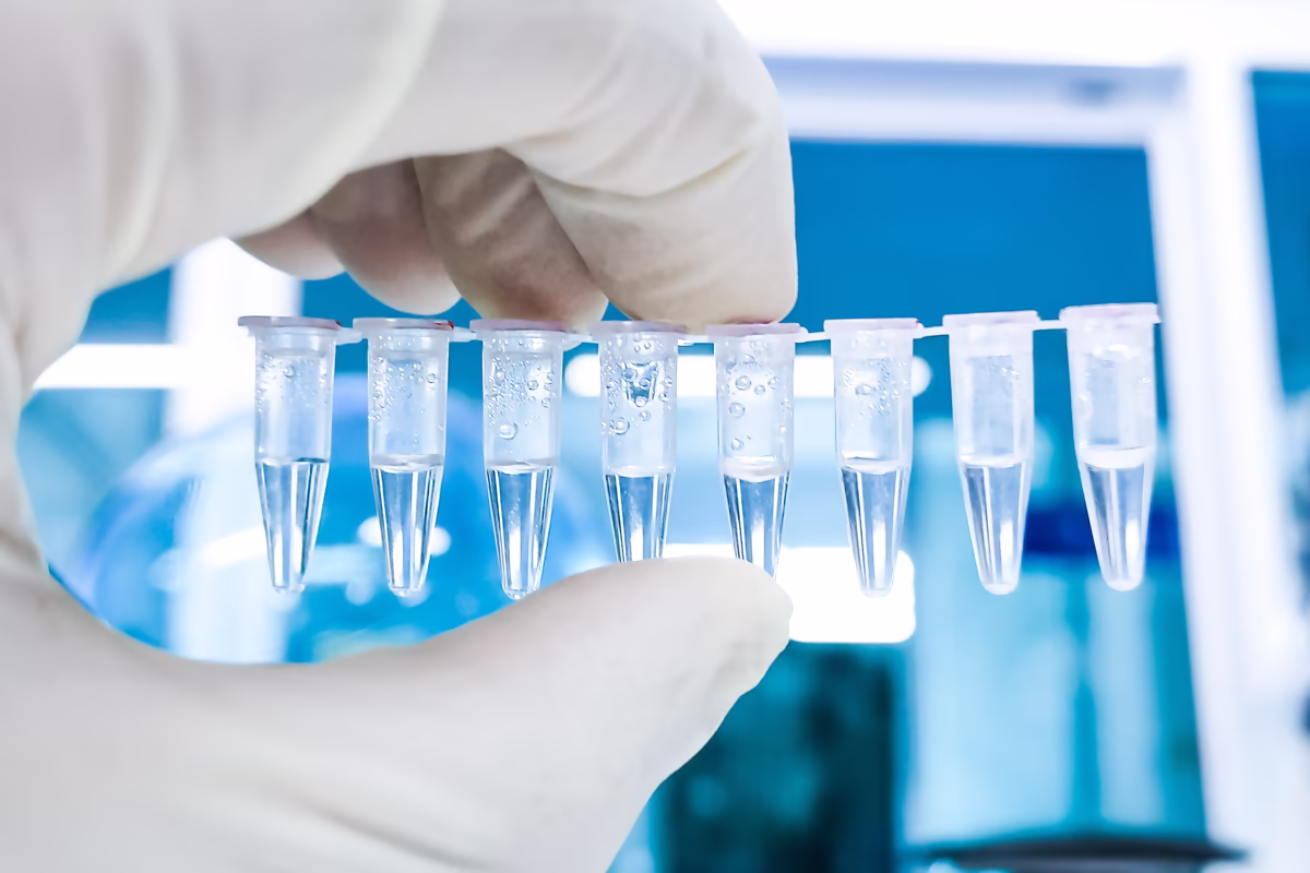 Close-up of a hand in a white lab glove holding a strip of eight clear microcentrifuge tubes filled with liquid, set against a blurred blue laboratory background.